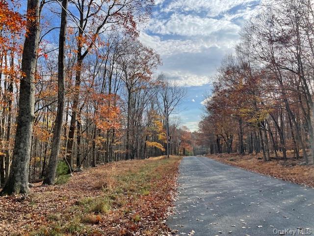 Lake Joseph Drive, Forestburgh, New York image 1