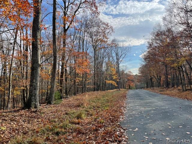 Lake Joseph Drive, Forestburgh, New York image 11