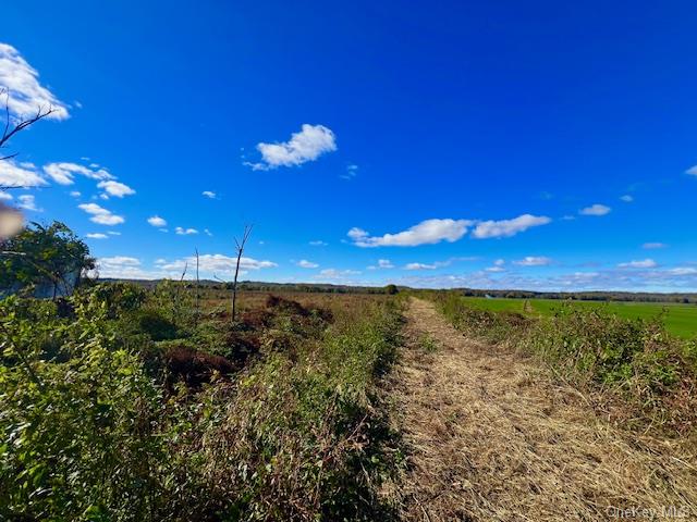 12 Greenhouse Lane, Pine Island, New York image 7