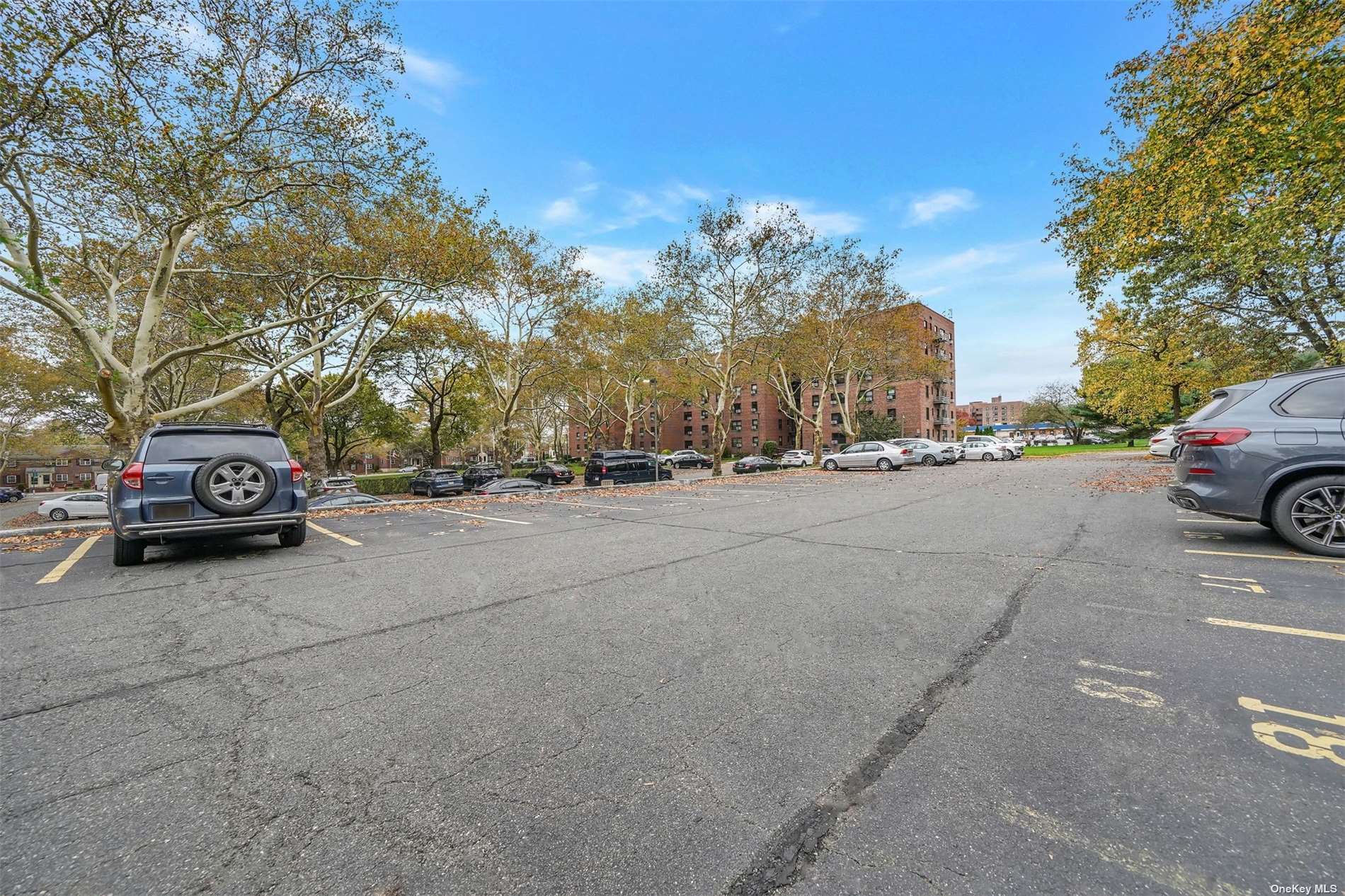 212-03 75th Avenue #2C, Oakland Gardens, New York image 22