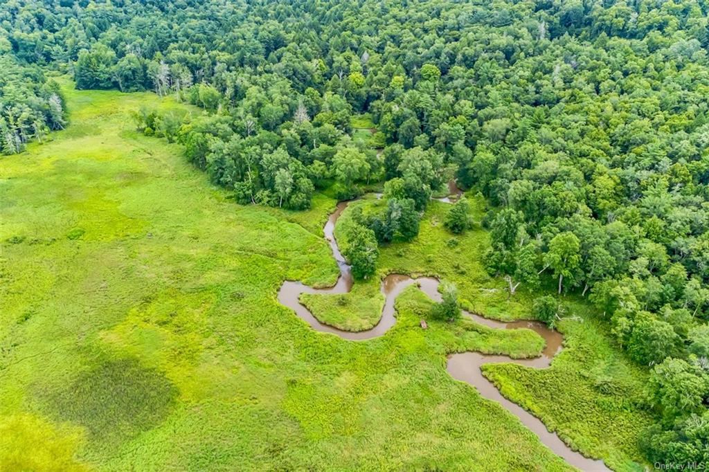 668 Starlight Road, Monticello, New York image 9