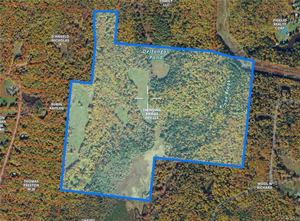 Property for Sale at 668 Starlight Road, Monticello, New York -  - $2,000,000