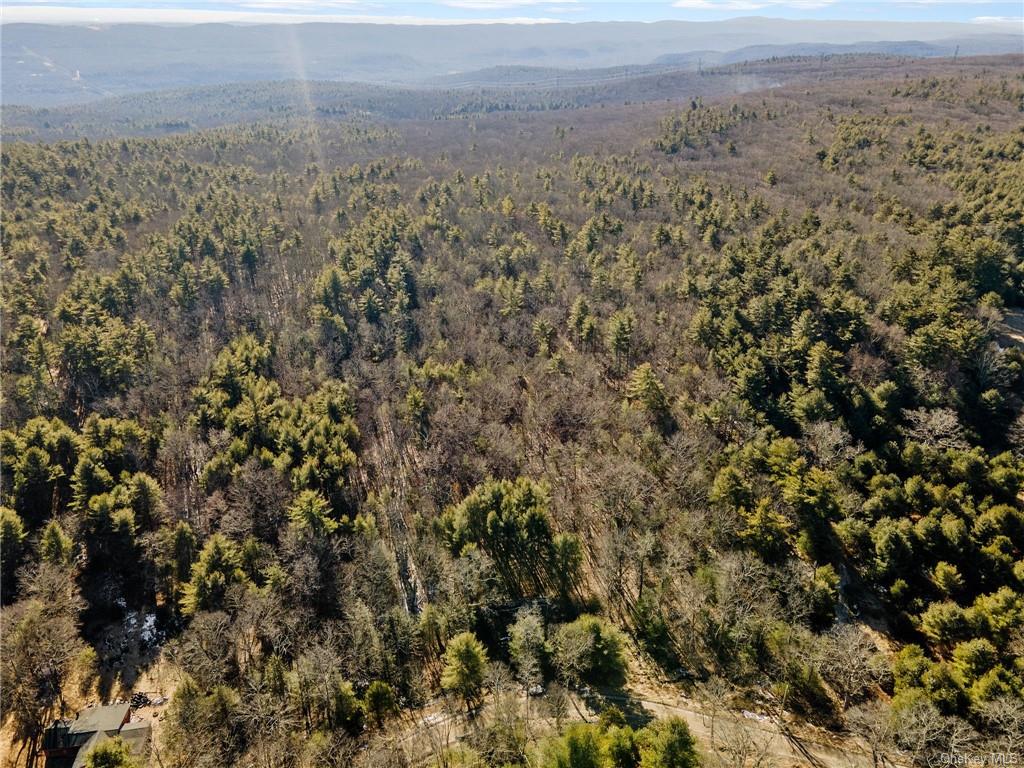 Skinner Road, Wurtsboro, New York image 1