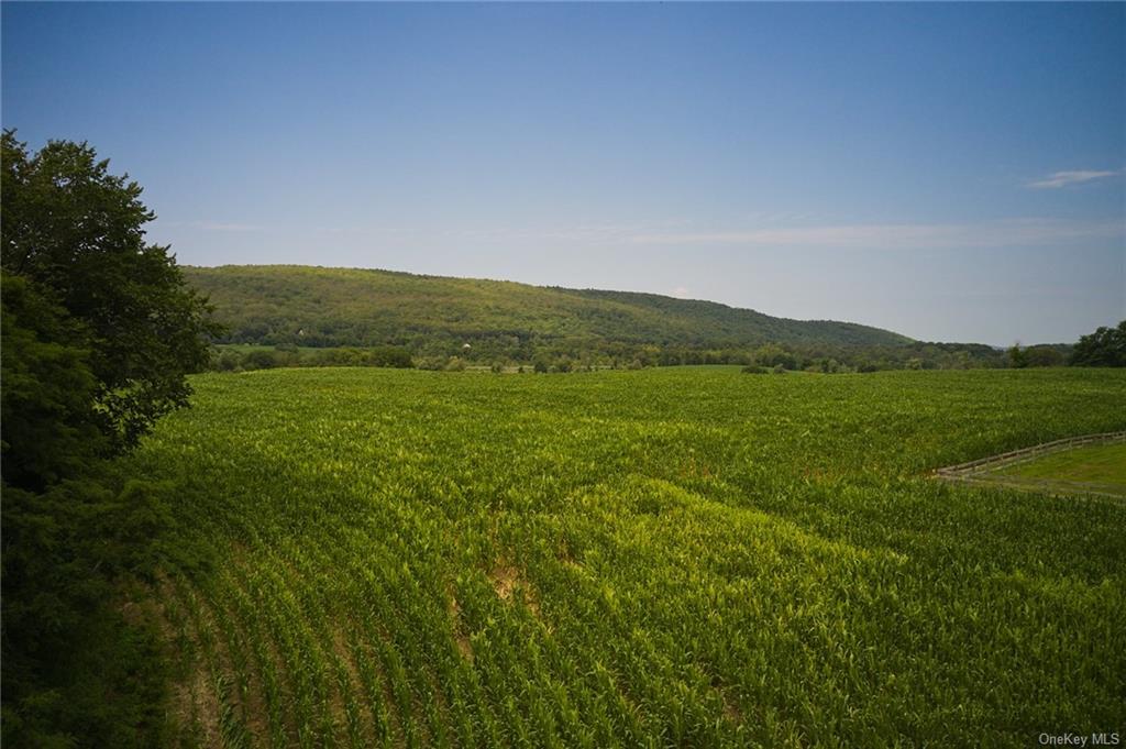 Boston Corners Road, Millerton, New York image 17