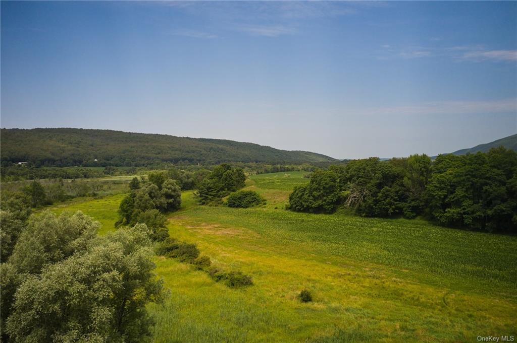 Boston Corners Road, Millerton, New York image 8