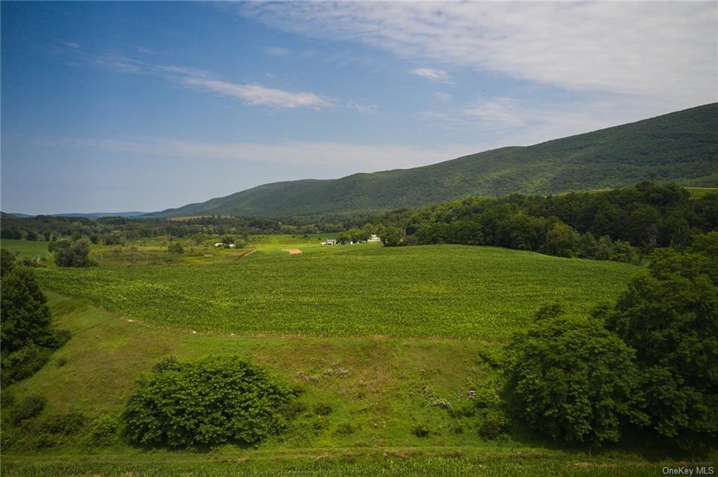 Boston Corners Road, Millerton, New York image 6