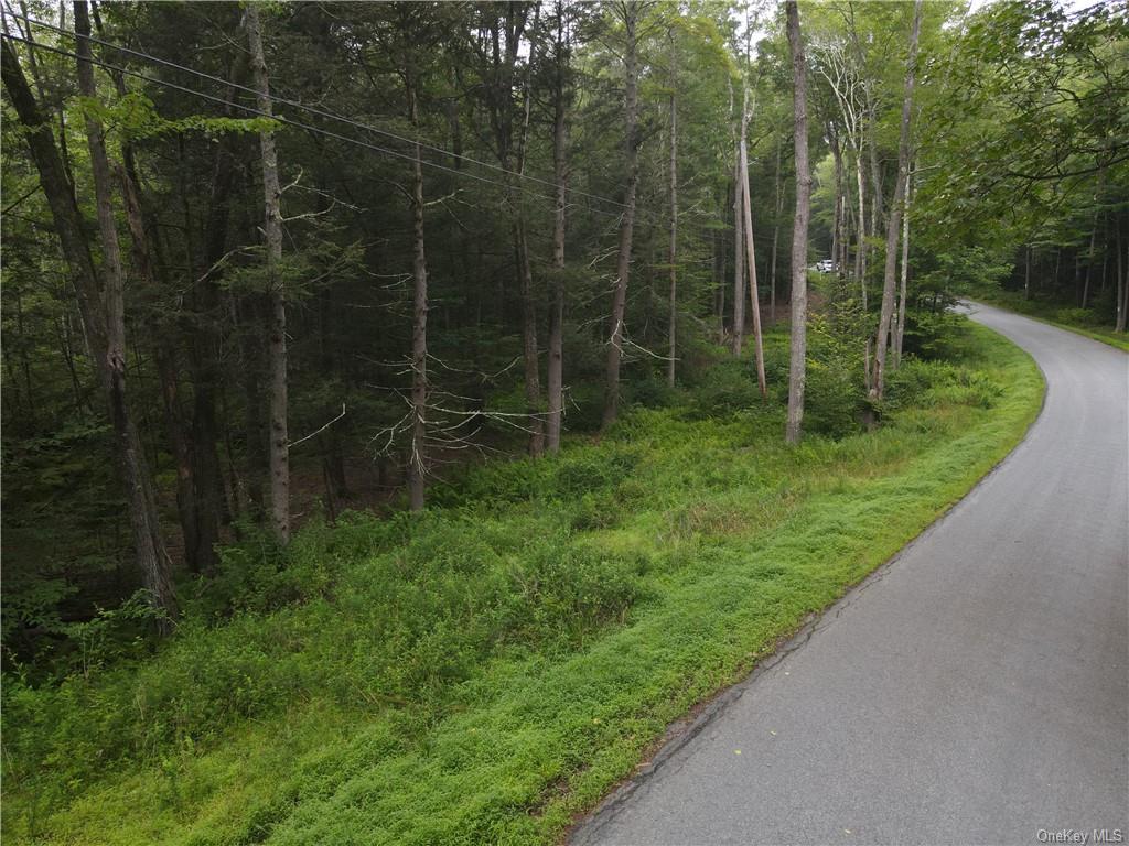 Lot 14 Tyler Road, Cochecton, New York image 6