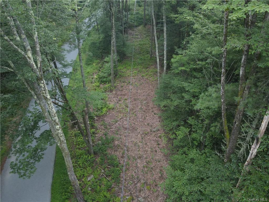 Lot 14 Tyler Road, Cochecton, New York image 2