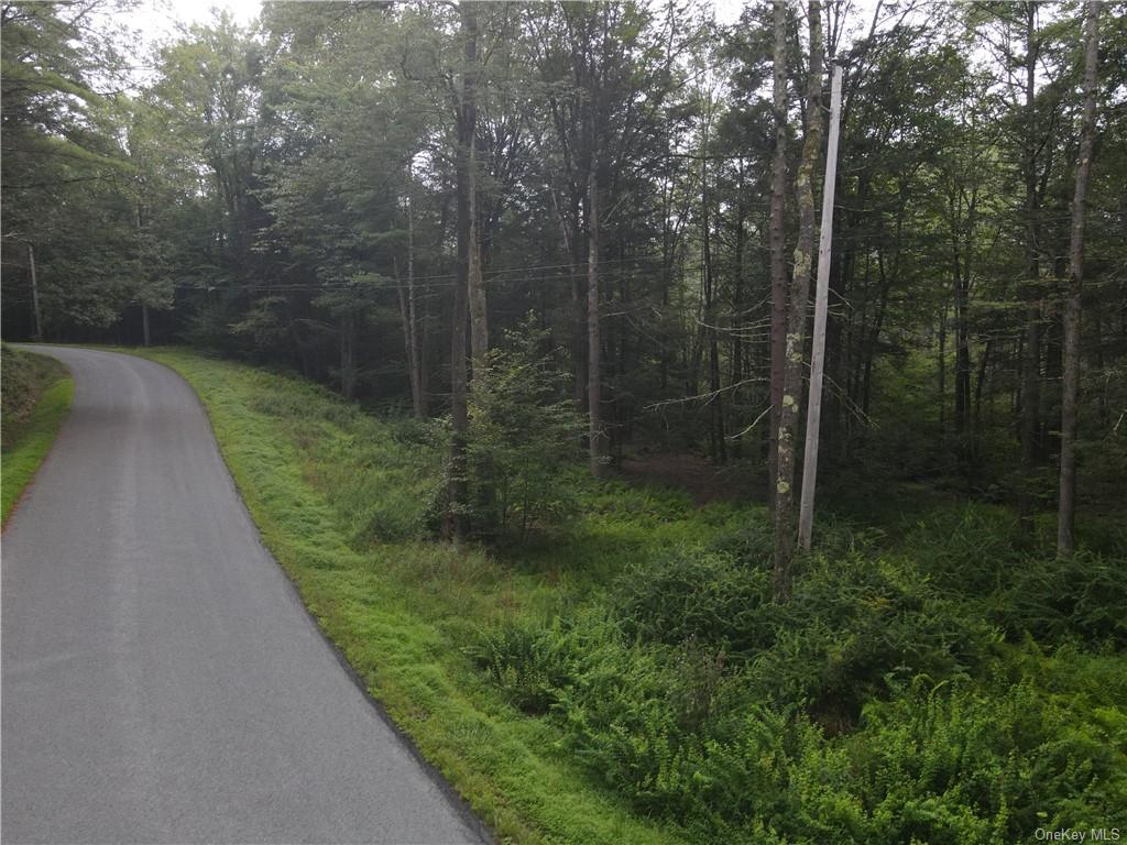 Lot 14 Tyler Road, Cochecton, New York image 4