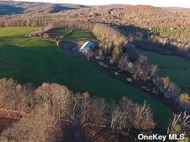 229 Menges Road, Callicoon, New York image 1