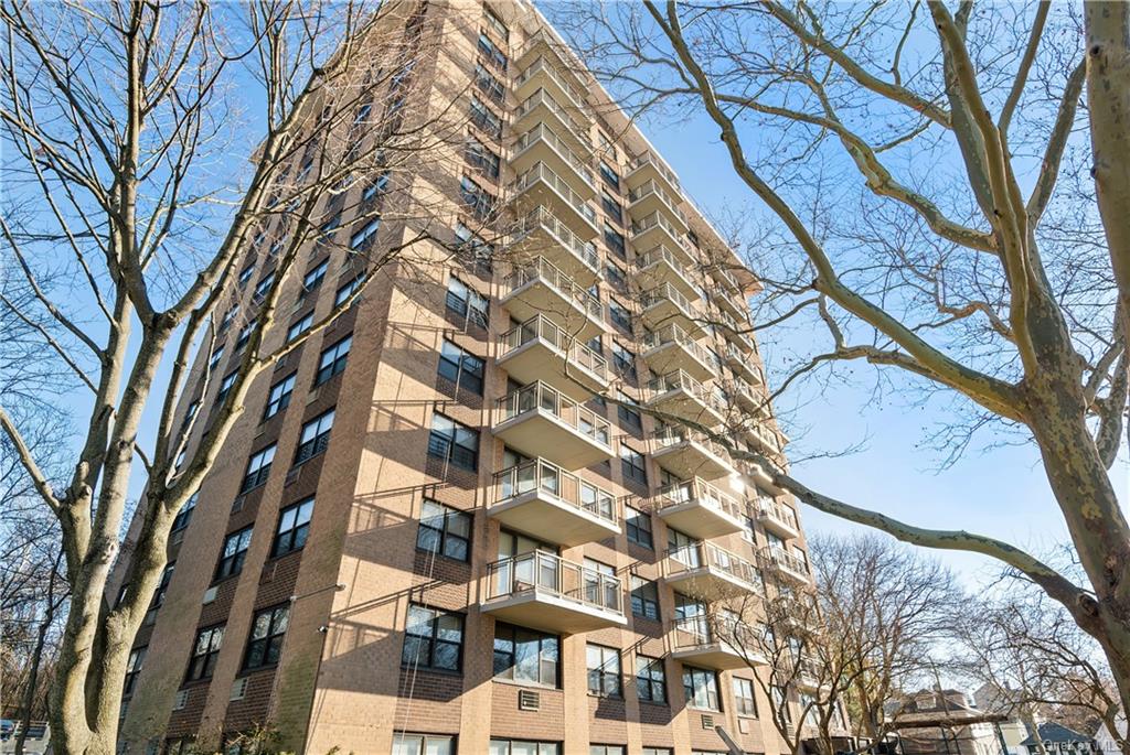 155 Ferris Avenue #2K, White Plains, New York image 18