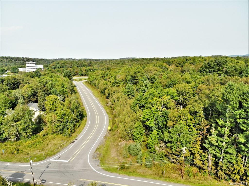 Nys Rt 17 And Old Rt 17, Harris, New York image 4