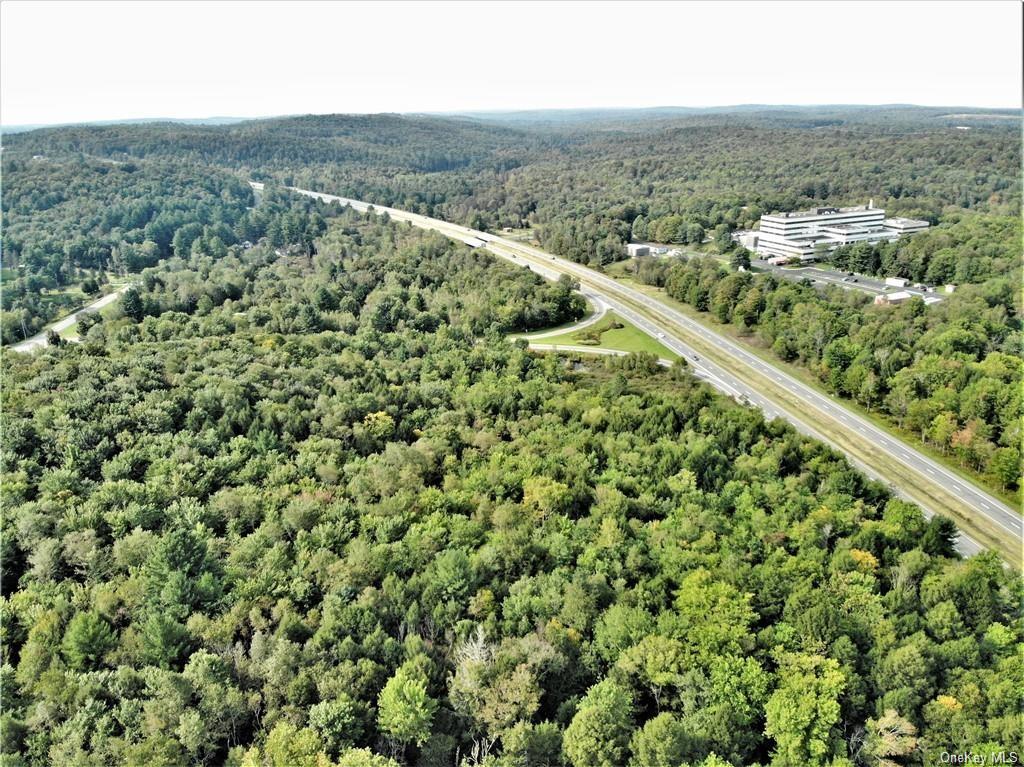 Nys Rt 17 And Old Rt 17, Harris, New York image 10