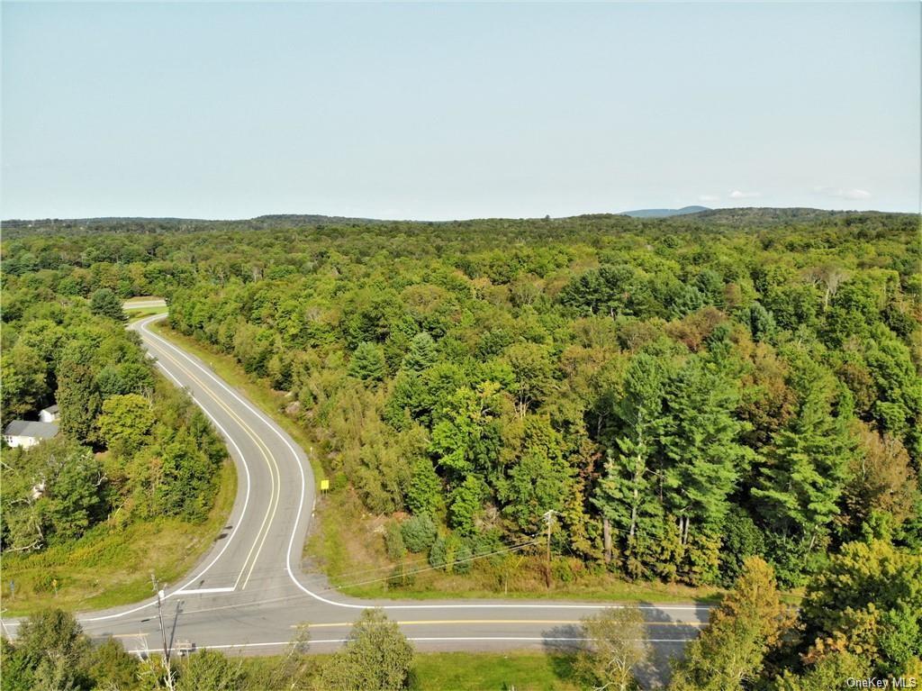 Nys Rt 17 And Old Rt 17, Harris, New York image 5