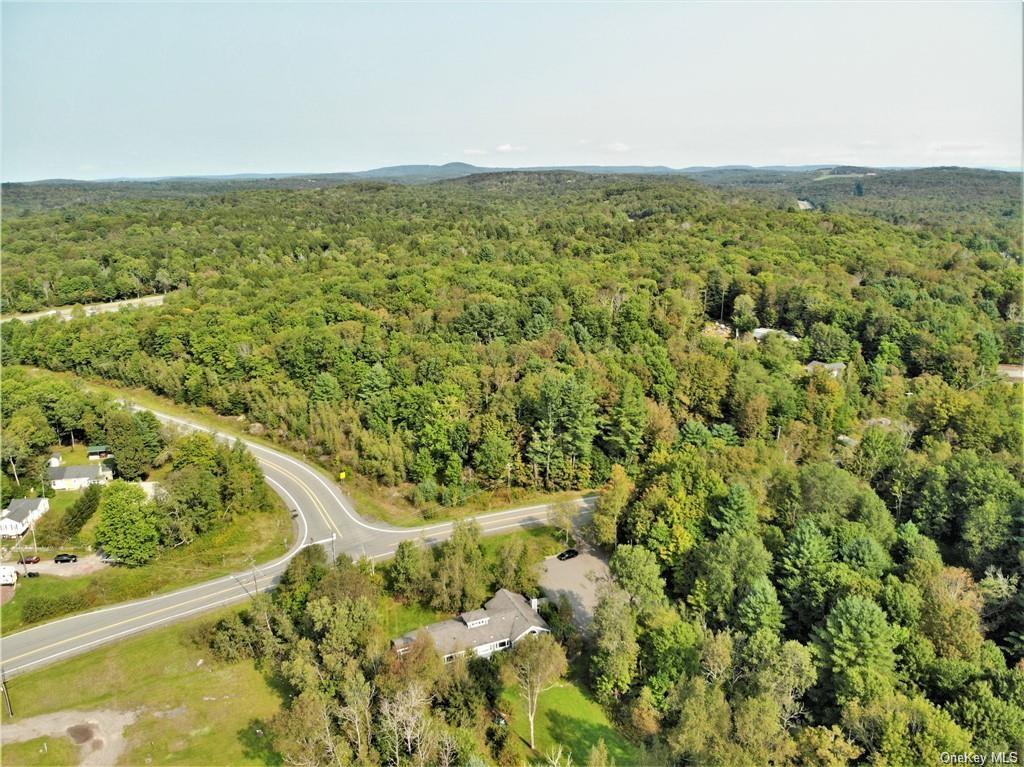 Nys Rt 17 And Old Rt 17, Harris, New York image 6