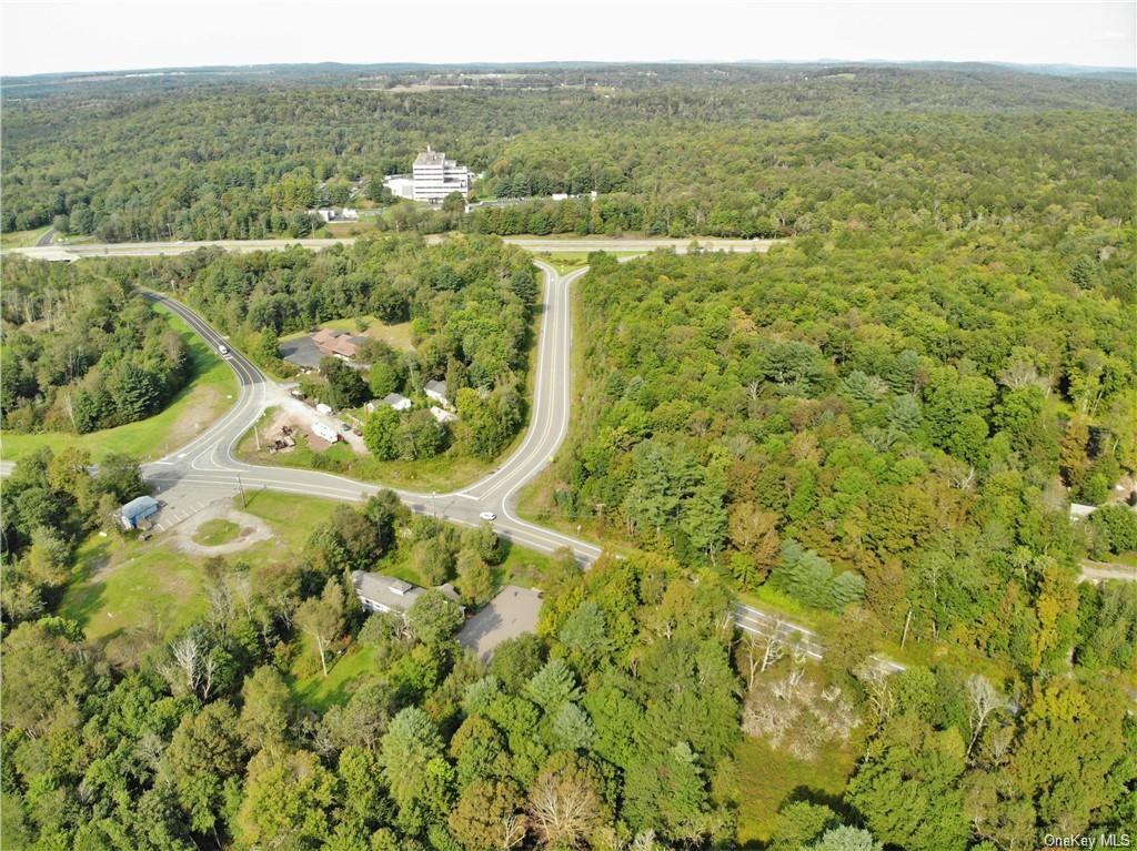 Nys Rt 17 And Old Rt 17, Harris, New York image 12