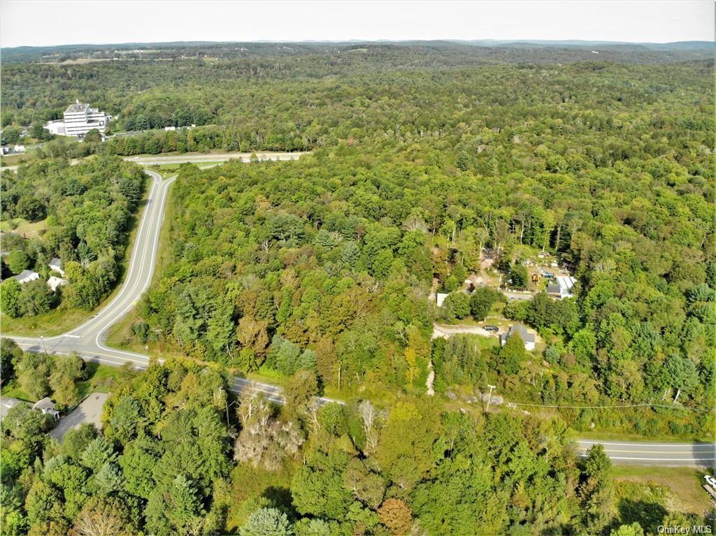 Nys Rt 17 And Old Rt 17, Harris, New York image 11