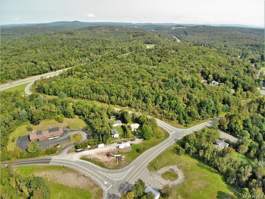 Nys Rt 17 And Old Rt 17, Harris, New York image 14