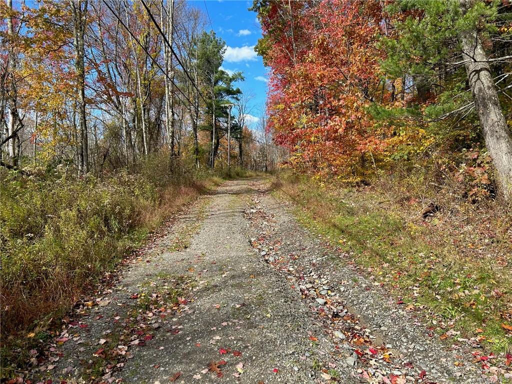 2 W Hill Road, Austerlitz, New York image 8