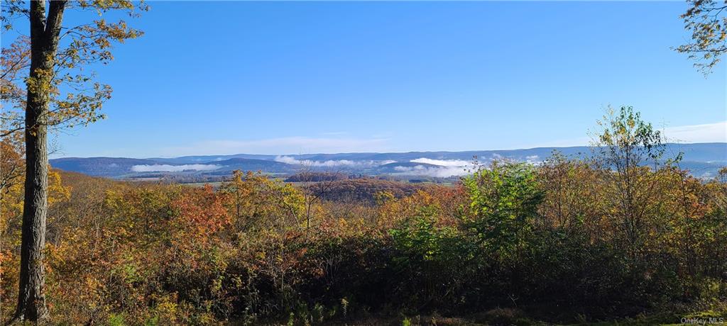 Cascade, Amenia, New York image 1