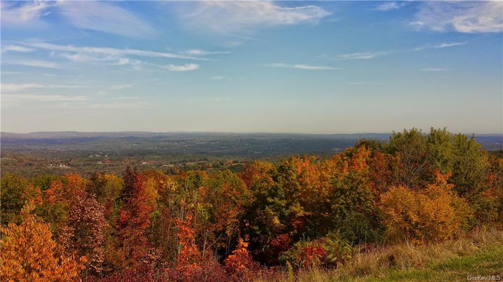 Cascade, Amenia, New York image 7