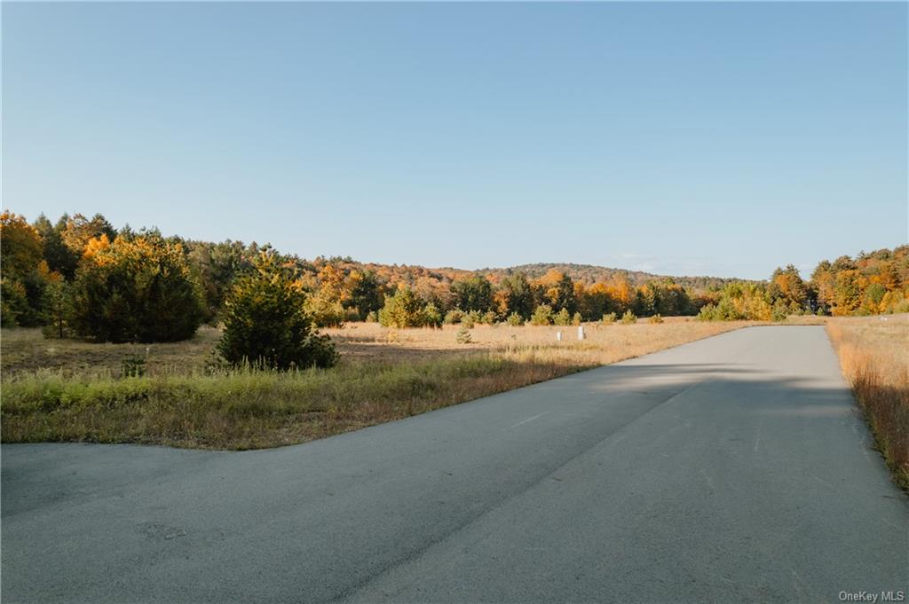 Marsh Road Tr 83 Road, Glen Wild, New York image 9