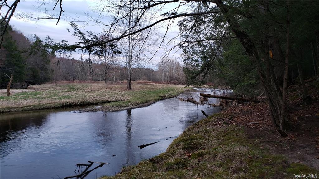 Marsh Road Tr 83 Road, Glen Wild, New York image 13