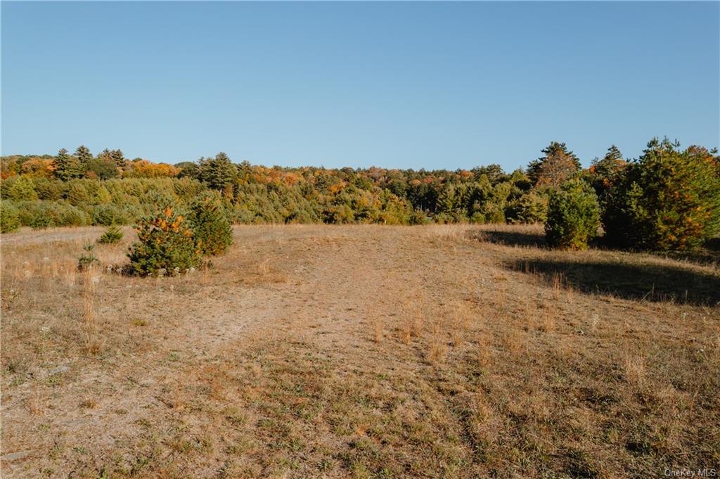 Marsh Road Tr 83 Road, Glen Wild, New York image 8