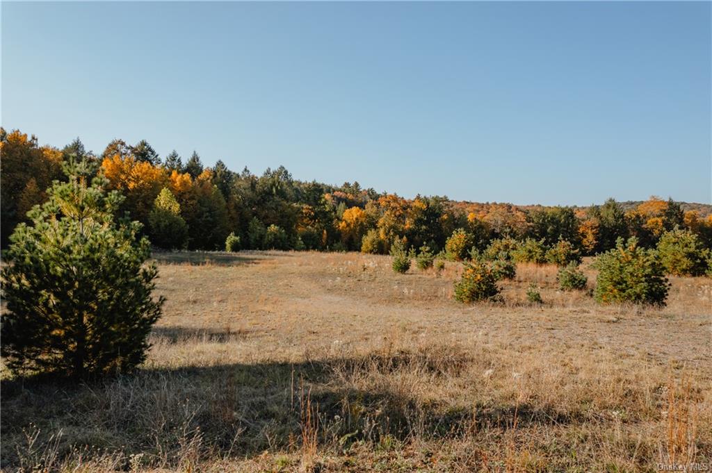 Marsh Road Tr 83 Road, Glen Wild, New York image 7