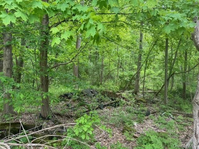 Property for Sale at Route 213, Esopus, New York -  - $50,000