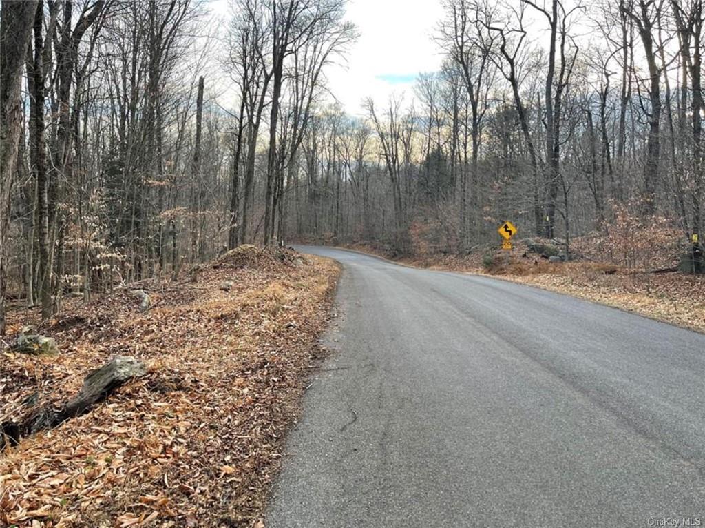 Starlight Road, Monticello, New York image 2