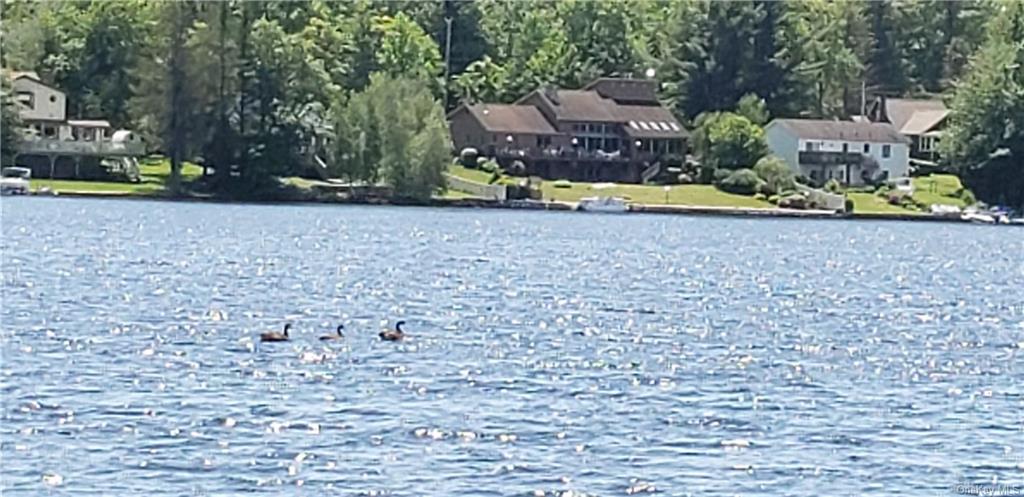 Sarine Road, Wurtsboro, New York image 5