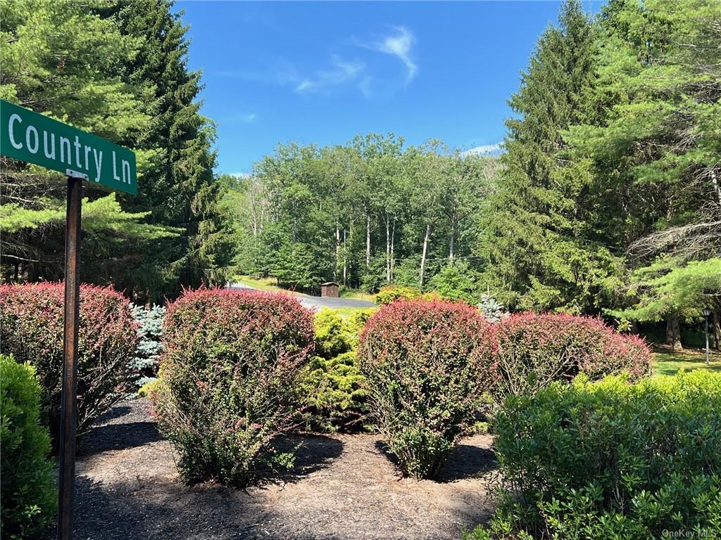 Country Lane, Callicoon, New York image 1