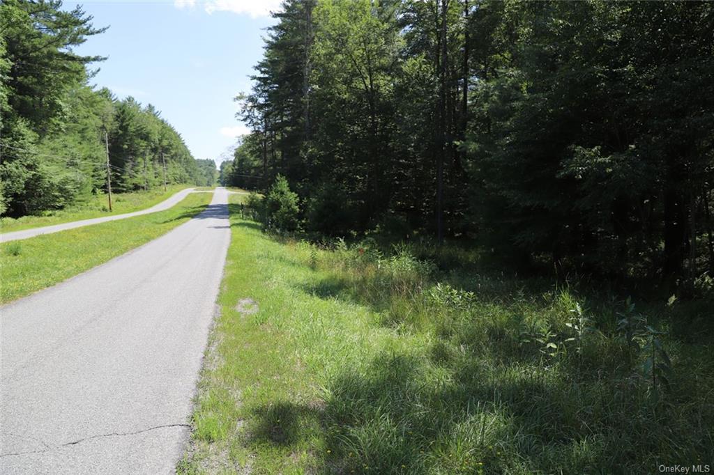 Country Lane, Callicoon, New York image 16