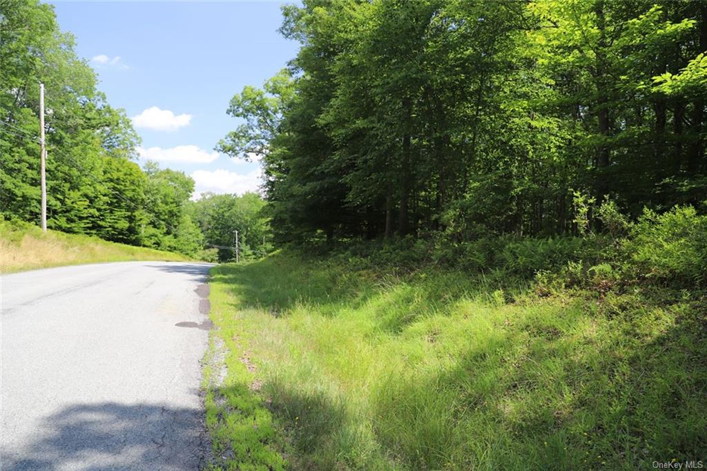 Country Lane, Callicoon, New York image 2