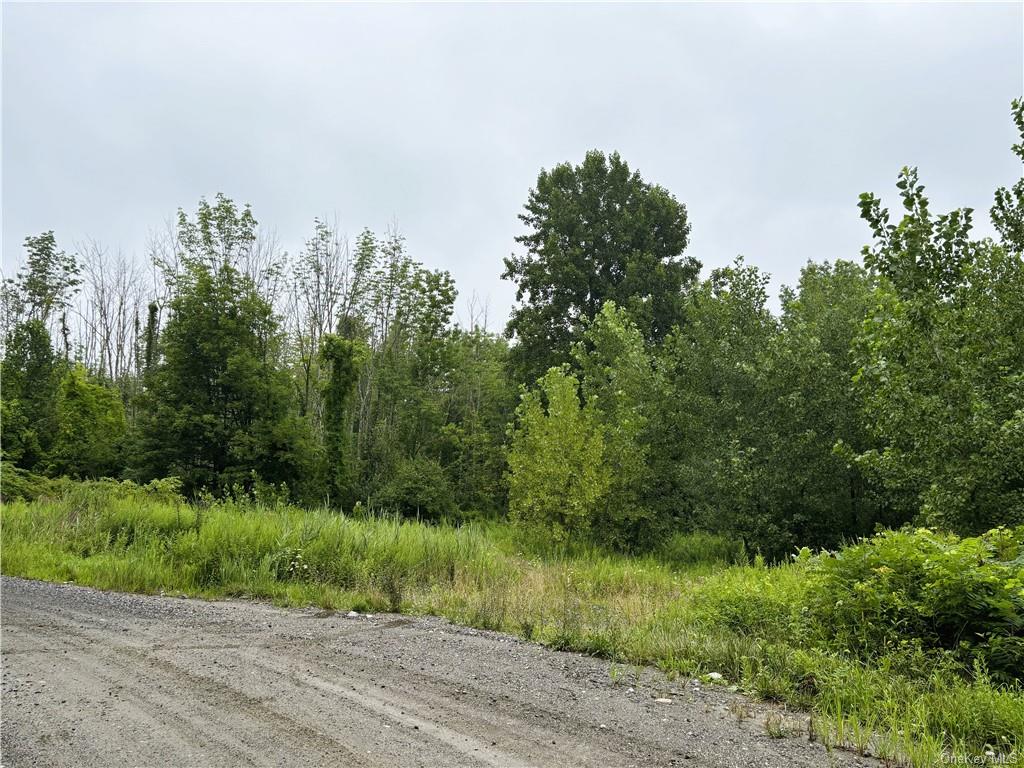 Lot #13 Cushman Road, Pawling, New York image 1