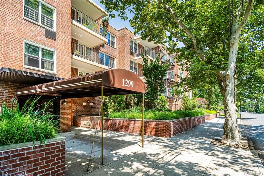 1299 Palmer Avenue #229, Larchmont, New York image 1