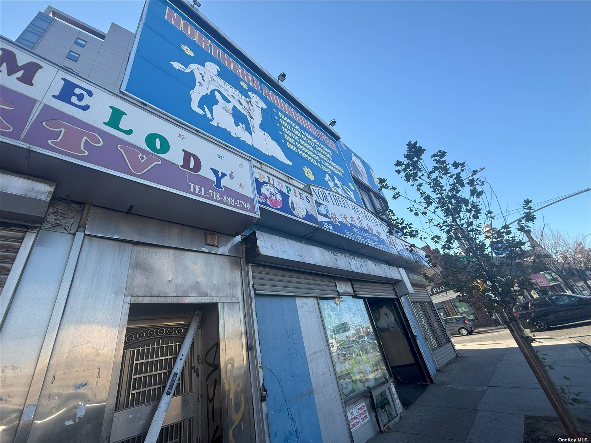 135-02-08 Northern Blvd
