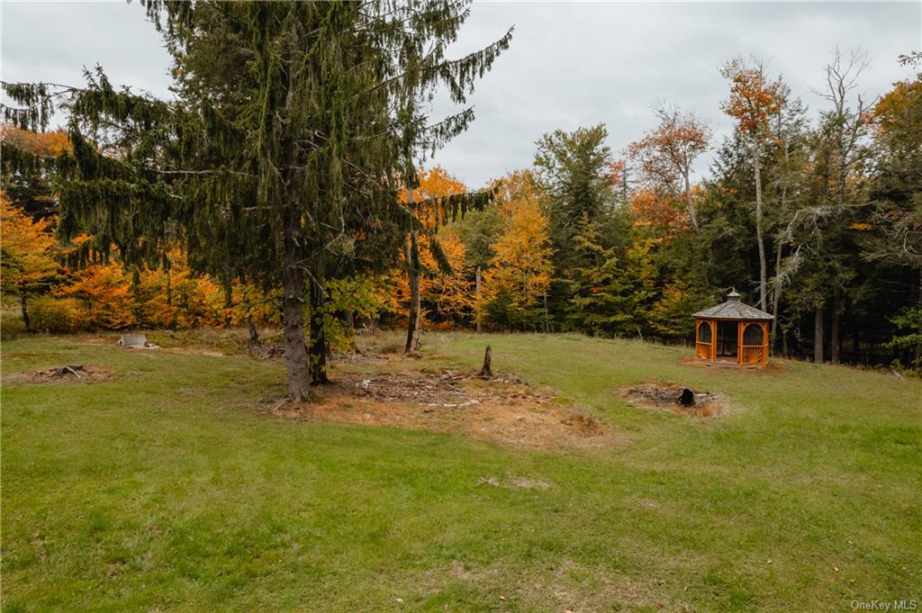 576 Red Hill Knolls Road, Grahamsville, New York image 6