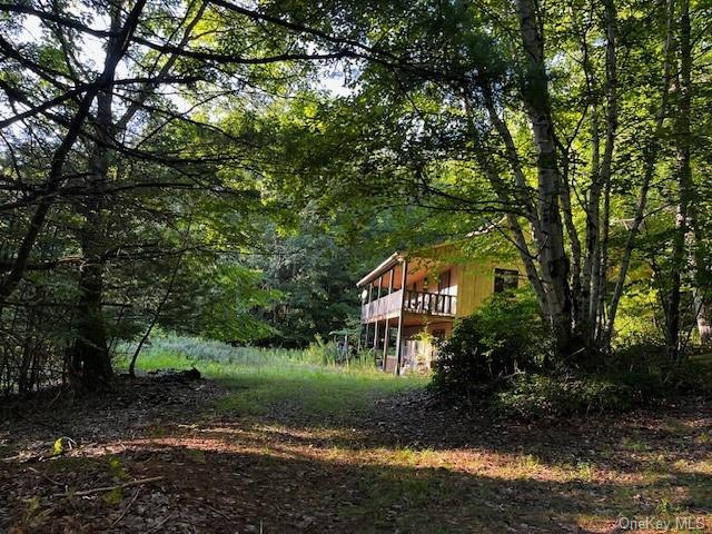 47 Bear Mountain Road, Downsville, New York image 16