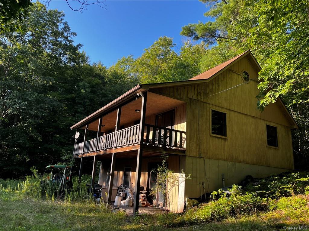 47 Bear Mountain Road, Downsville, New York image 1