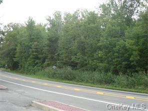 2201 State Route 208, Montgomery, New York image 4