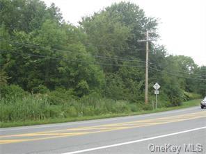 2201 State Route 208, Montgomery, New York image 3