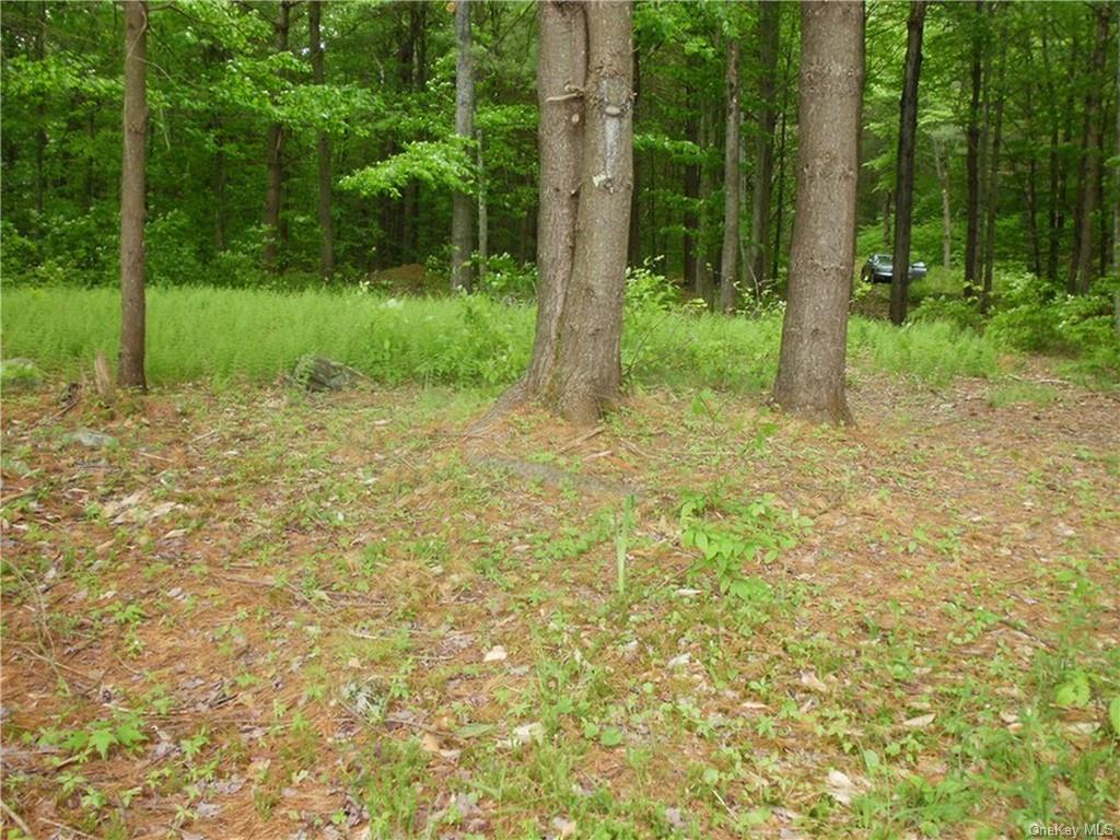 Lot 13 Woodstone Trail, Bethel, New York image 4