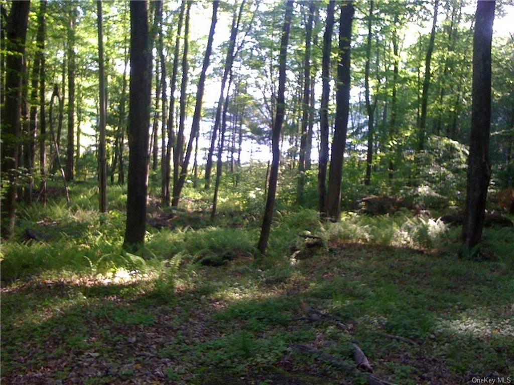 Lot 13 Woodstone Trail, Bethel, New York image 3