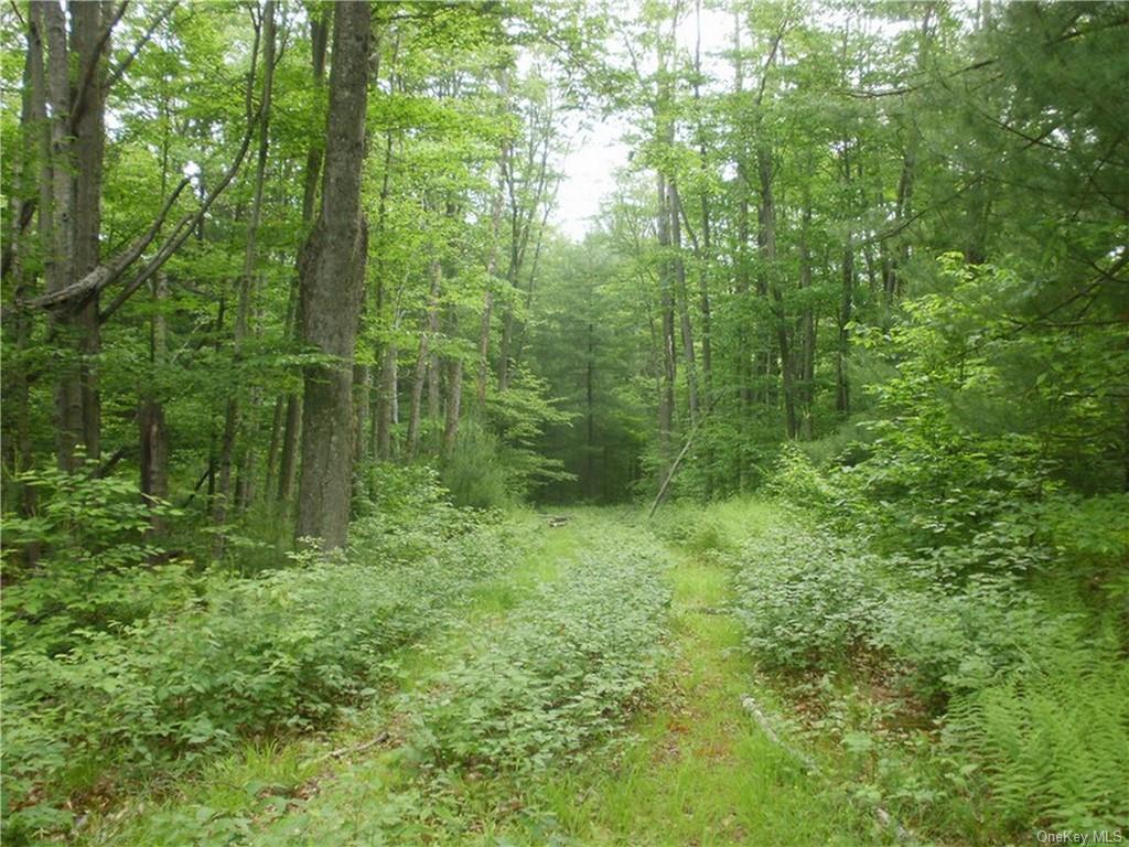 Lot 13 Woodstone Trail, Bethel, New York image 5