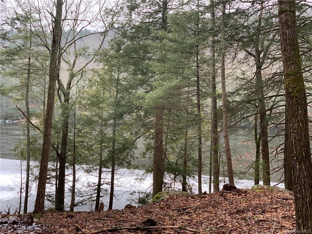 Plank Section A Road, Forestburgh, New York image 18