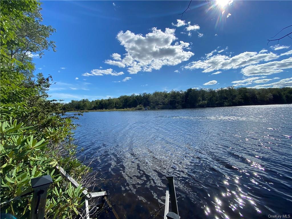 Anderson Road, Parksville, New York image 9