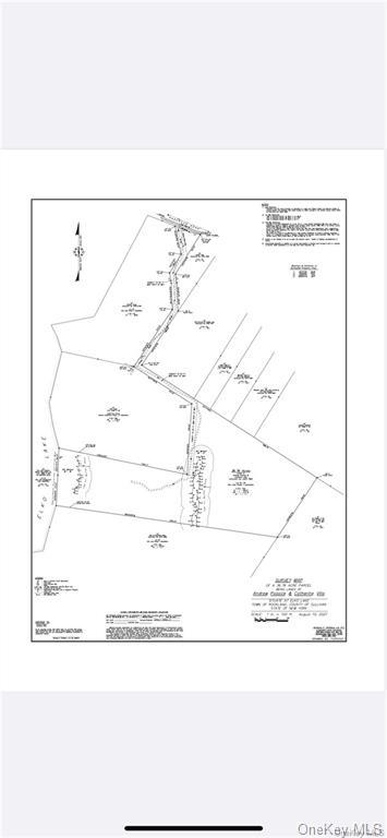 Elko Lake Lot 54 Road, Parksville, New York image 12