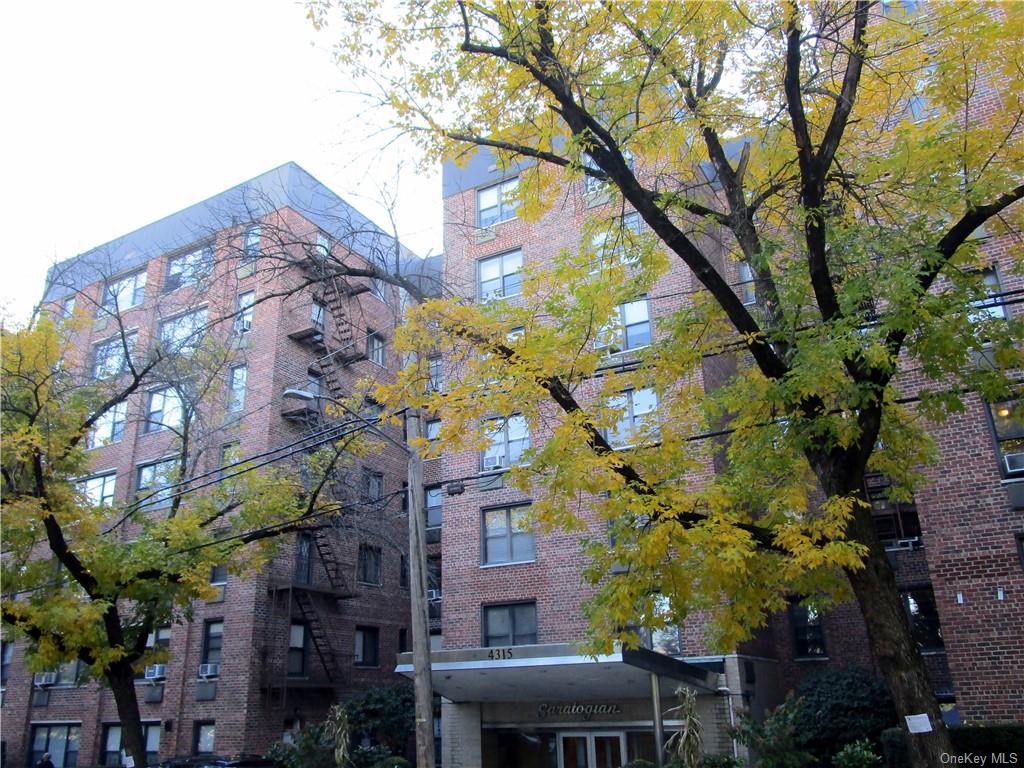 Rental Property at 4315 Webster Avenue 1D, Bronx, New York - Bedrooms: 1 
Bathrooms: 1 
Rooms: 3  - $1,850 MO.